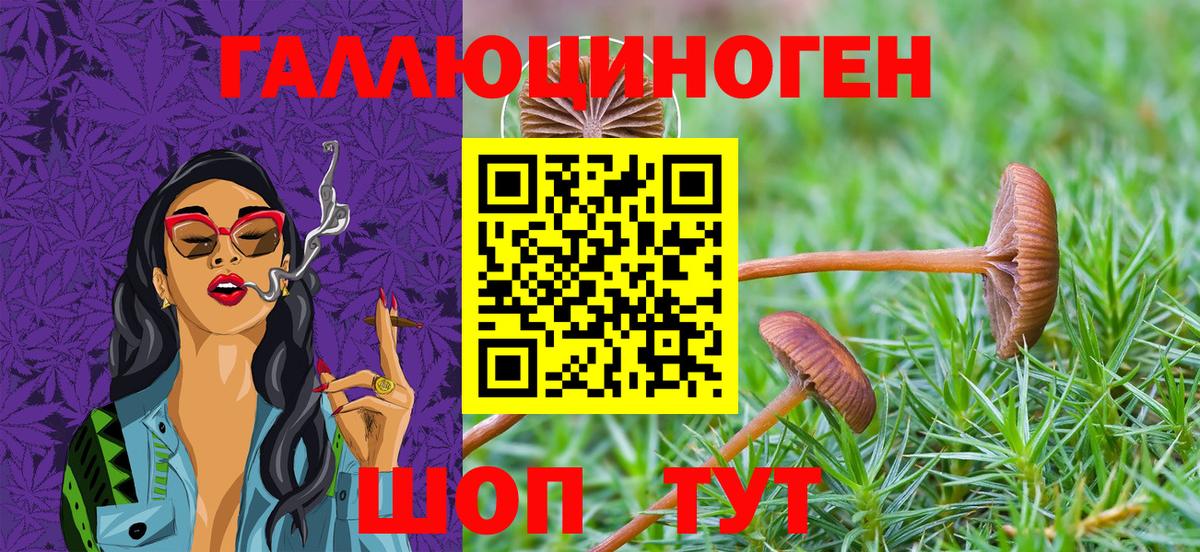 Мелеуз  Галлюциногенные грибы ЛСД  Вход с VPN 