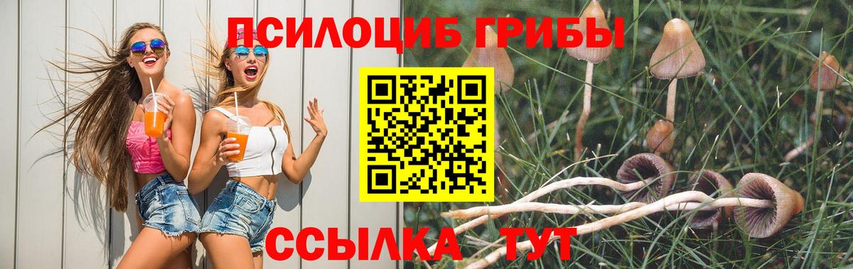 Псилоцибиновые грибы MAGIC MUSHROOMS Мелеуз